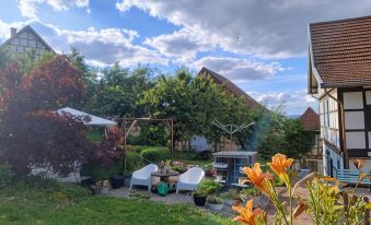 Minicamping Und B&B Apartment Hintergarten