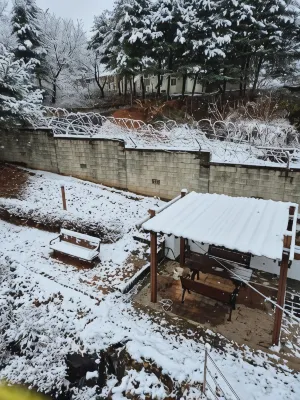 Paju Sabai Pension