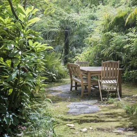 Oasis