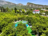 Castle Park Hotel - parkir