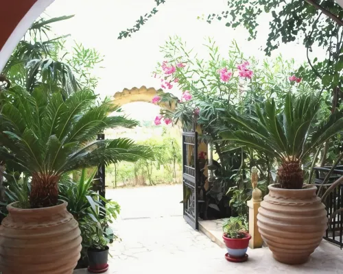 Villa Nefeli Hotel berhampiran Pantai Messonghi