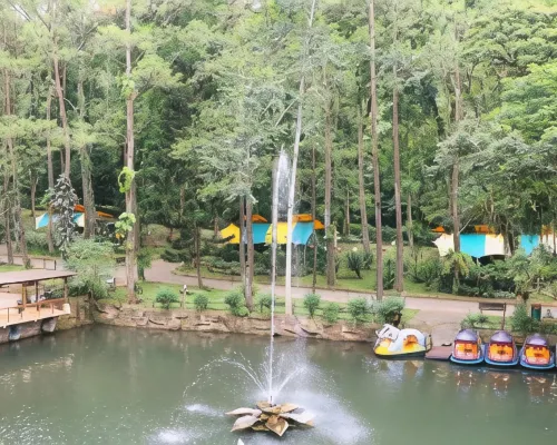 Safari Resort بالقرب من الفندق Photos