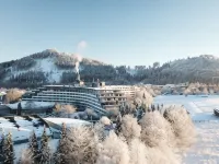 Sauerland Stern Hotel Hotels in Willingen