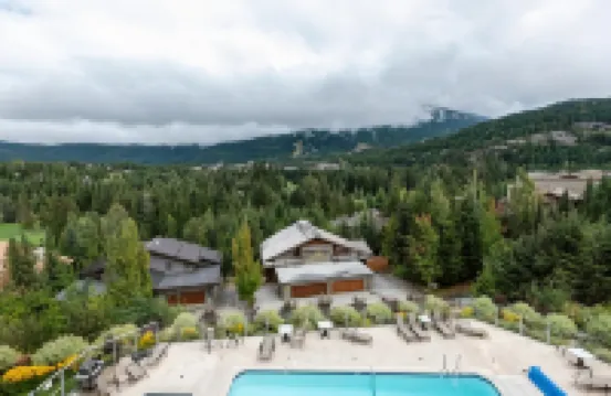 鐵木樹藍莓山威士忌VR