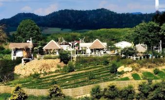 Luv Mountain & Flower Camp Pala-U