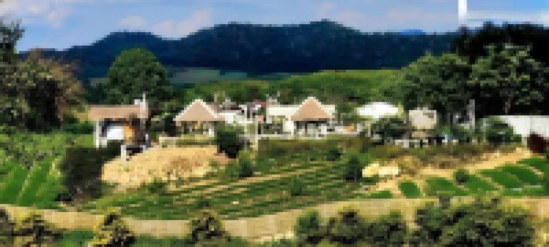 ラブ マウンテン & フラワー キャンプ