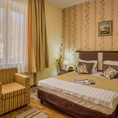 Hotel Rina Cerbul Hotels near Foișor Castle
