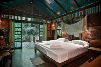 Our Jungle House