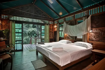 Our Jungle House