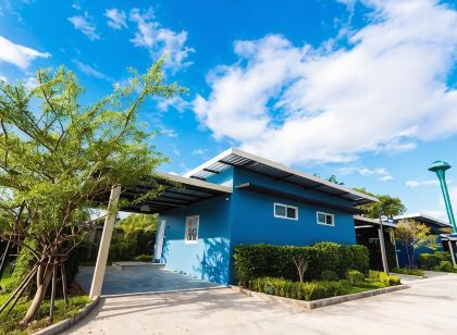P House