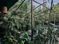 Sugar Hostel Weligama - Coliving & Coworking