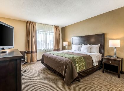 Comfort Inn Downtown
