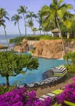 Hyatt Regency Maui Resort & Spa - Pool