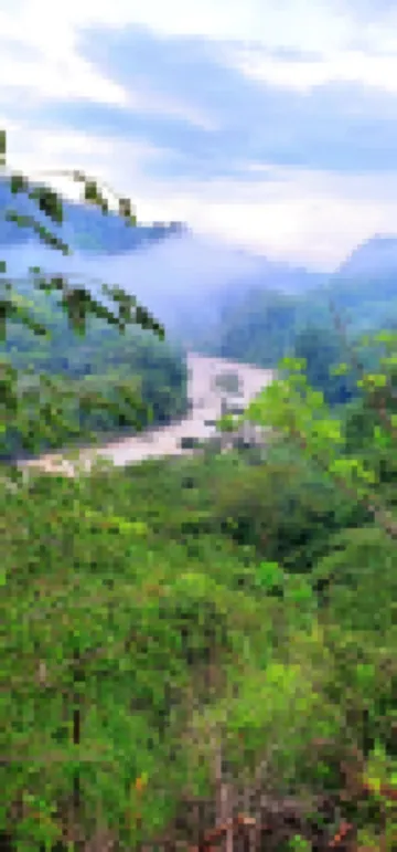 Canyon Casa: Direct Riverfront :20 Minutes to the SJO Airport ! 巴西酒店