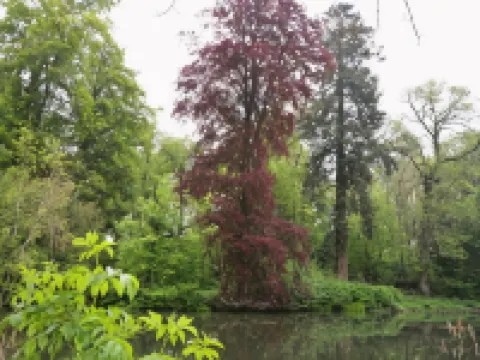 阿什利賓館 班伯里酒店