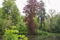 애쉴리아 게스트 하우스 파딩호 호텔