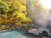 Tomuraushionsen Higashitaisetsusou - 3-Star