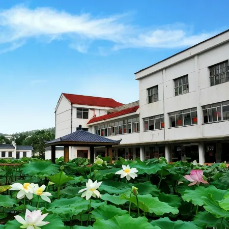 Dajin Lake Yiyang Center Migratory Birds Lvju Yanglao Base