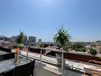 Elegance Suites - Ramah Hewan Peliharaan