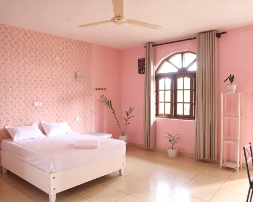Story House โรงแรมในเนกอมโบ