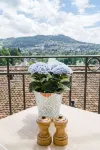 Bellevue Palace - Mountain view