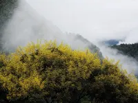 HUANGYEJI - con vista montagne