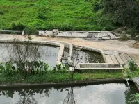 Jiu Jiang Inn