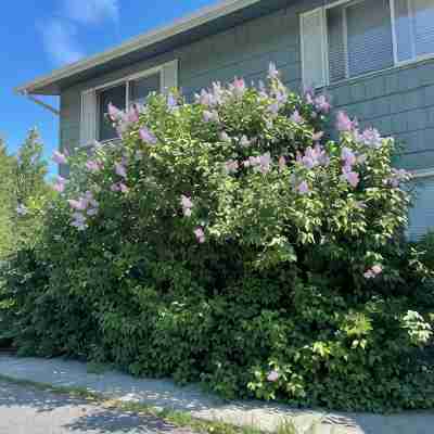 Cozy 2-bedroom apartment in charming Anchorage with WiFi 3 Hotel Exterior