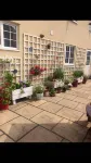 Jasmine House - Pet-friendly