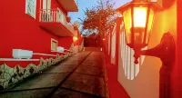 Hotel Magnolia - Wifi