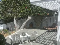 St.Croix, USVI- Cane Bay Beach -direct waterfront Cottage! Hotels in Northcentral
