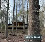 The Rainforest Hideout - Homestays