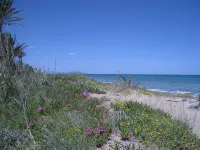 1ªLínie! Right on the beach, sea views, pool, climate, WIFI - 비치
