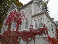 Lower flat steps from the lake and downtown