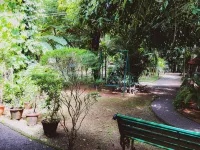 Palm Grove Service Villa