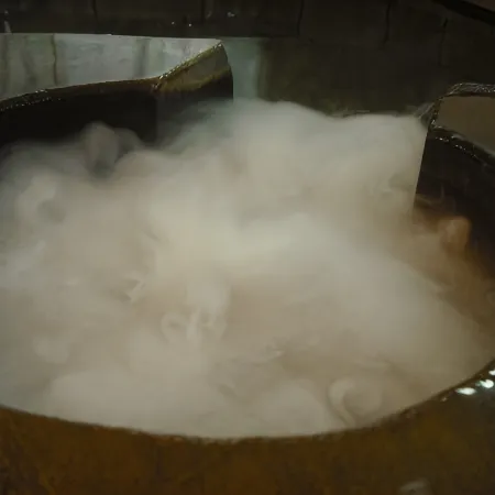 Saku Hotel Onsen (Hot Spring)