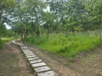 TCTC & CAMP Hotels in Morogoro