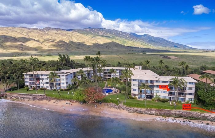 Front-Row Ocean View Retreat, Whales, Sunsets, Steps to Beach, Kanai A Nalu #319