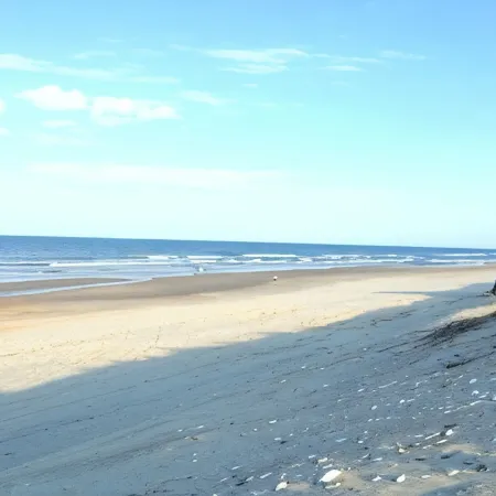 Carolina Sunshine 3 Bedroom 2 Bath Condo