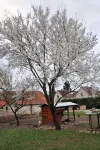 La Ferme de Flo'