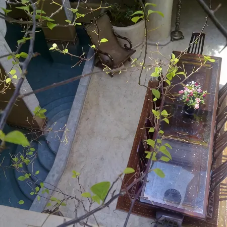 Riad Lorsya