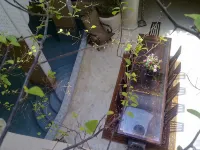 Riad Lorsya