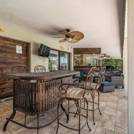 Watch Dolphins Play From The Patio