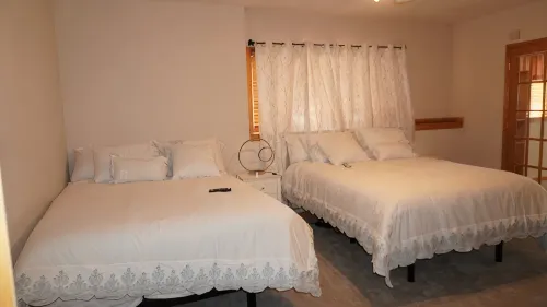 Quiet 3 BDR Home-  private sauna & skyline view- close to downtown & Mayo Clinic
