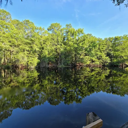 Riverfront Cabin Near Rainbow Springs 5Br 4BA Sleeps 16 Hot Tub Kayaks Game Room