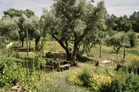 breakfastunderatree - Vila