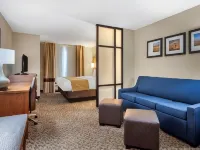 Comfort Suites Manhattan Hotels in Manhattan