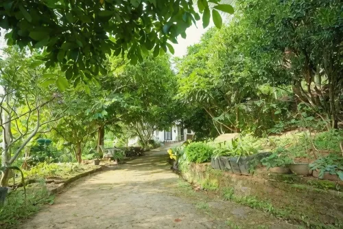 馬塔萊山頂度假屋