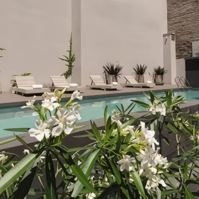 Krista Boutique Hotel Hotels in der Nähe von Plaza Serrano
