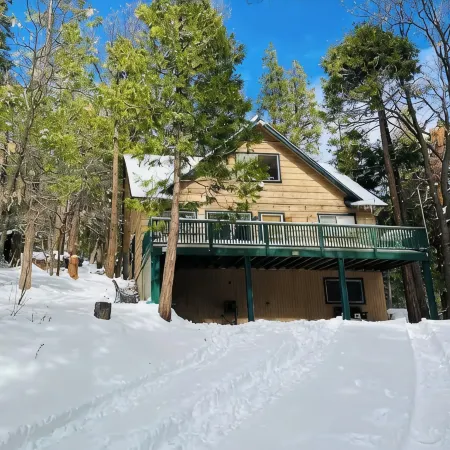 Sequoia Forest Cabin—Lake & River—Ski, Raft, Hike, Bike and More
